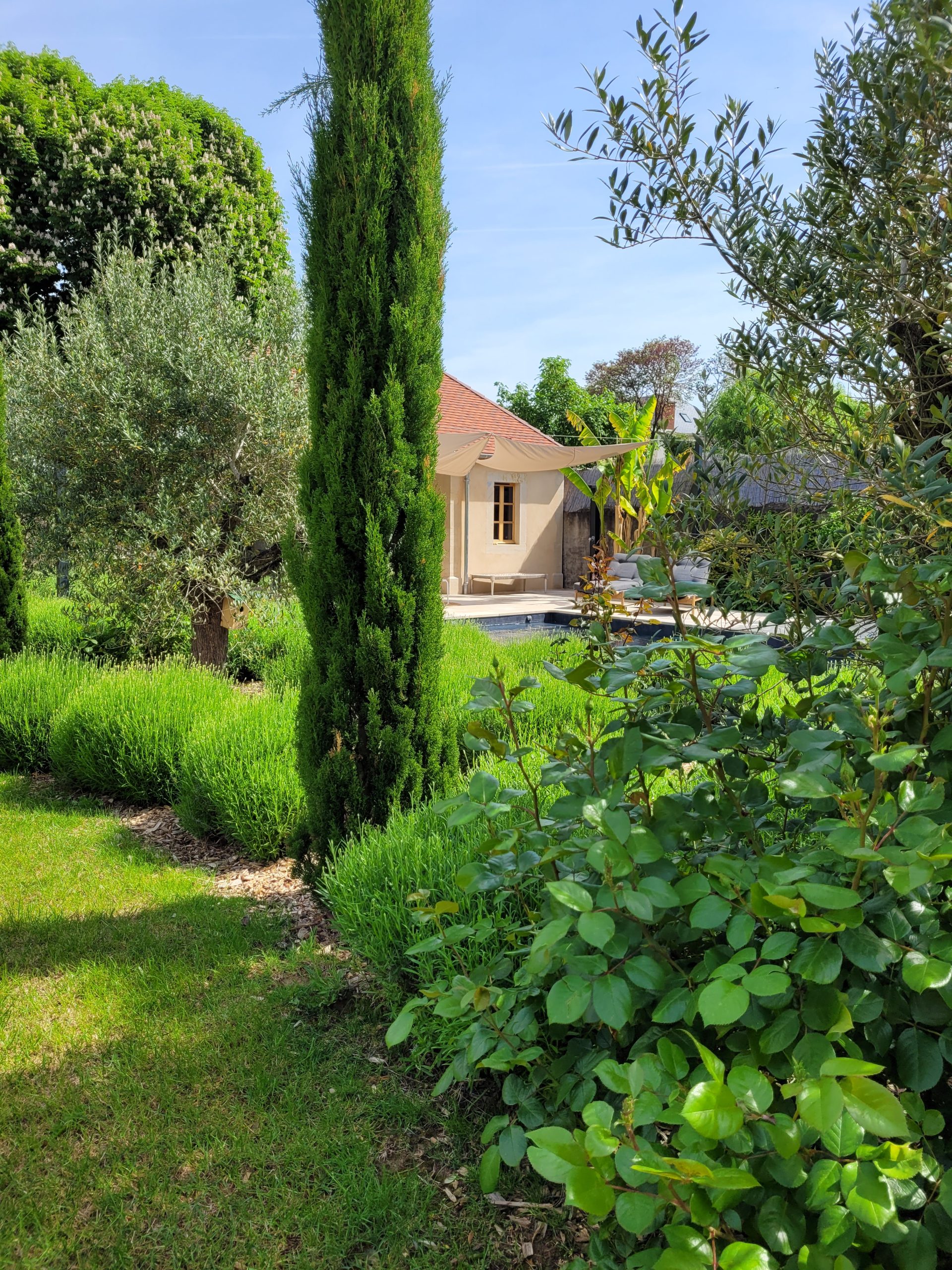 Jardin Gevrey-Chambertin